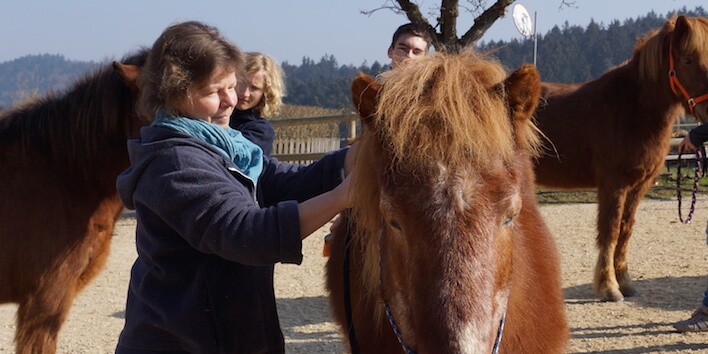 Magnus Horse Sense für Eltern